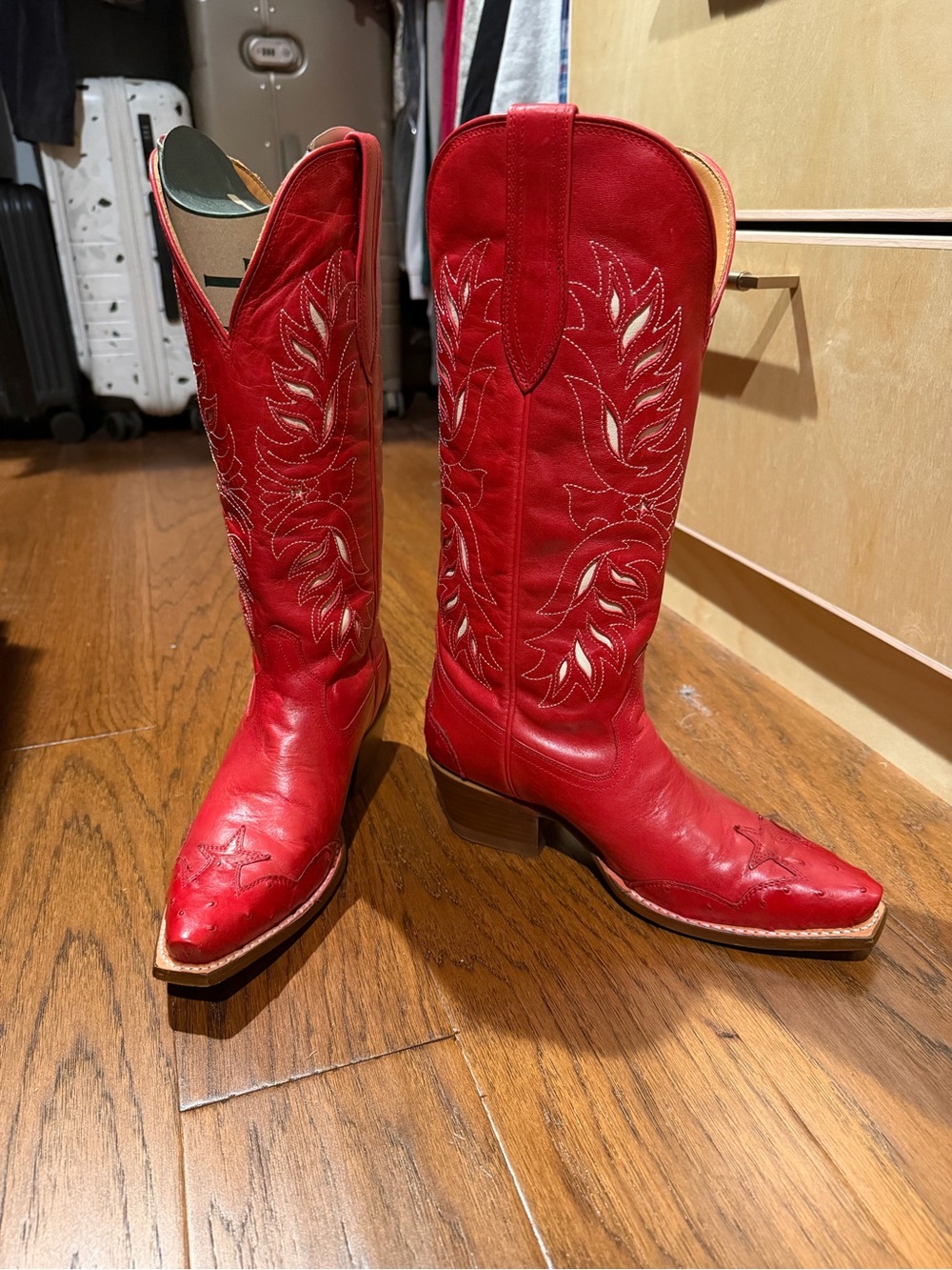 Tecovas Annie Eagle in Barn Red - 7